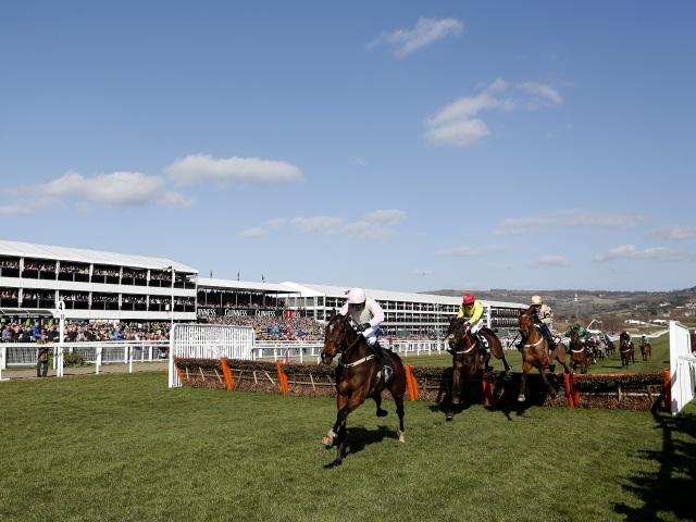 Douvan (pictured, in the lead) has been backed in for the Betfair Tingle Creek